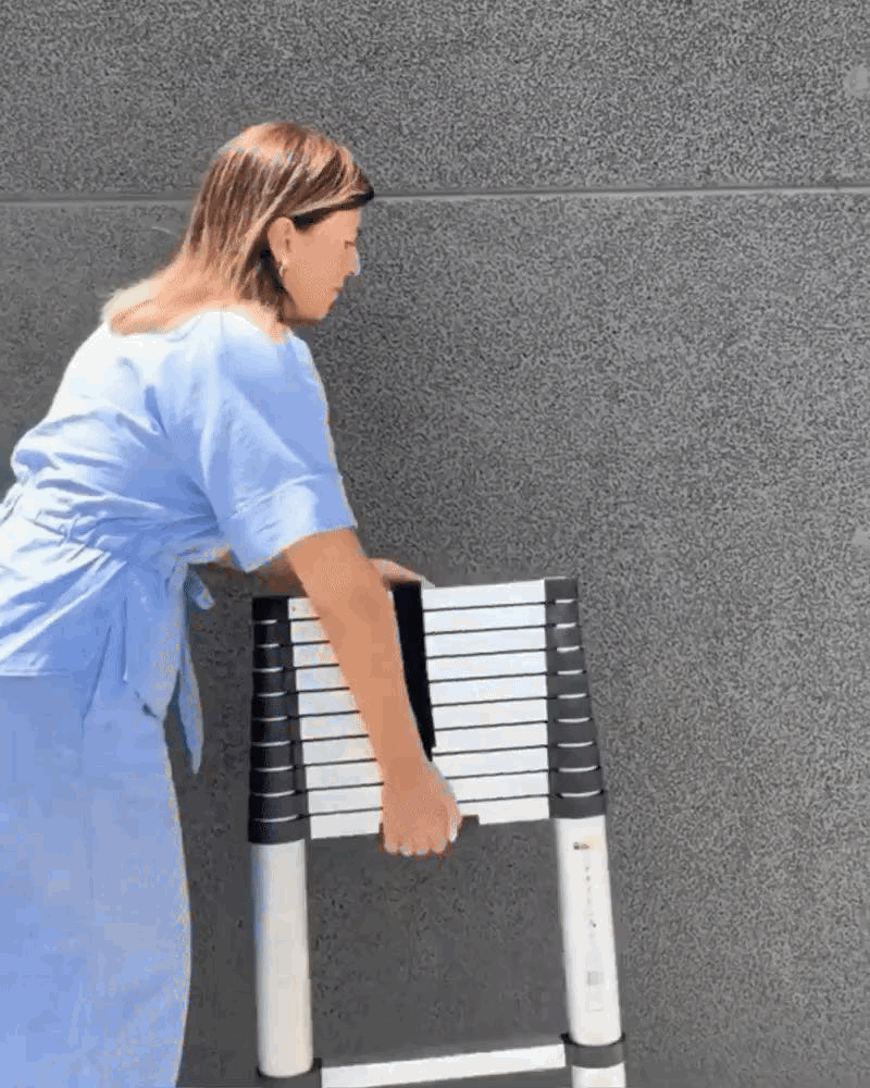 BN-BF-Echelle Télescopique Polyvalente 2,6M – Légère, Sécurisée et Facile à Ranger
