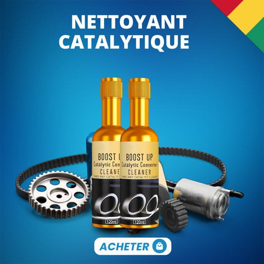 Nettoyant pour convertisseur