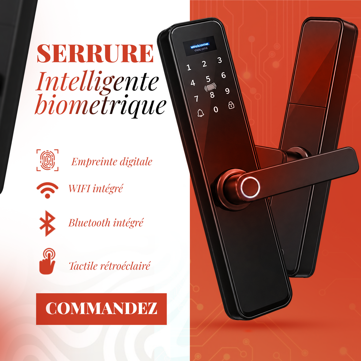 Serrure Intelligente de luxe