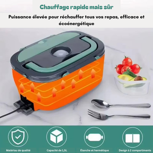 Boîte à lunch électrique  réchauffeur de nourriture