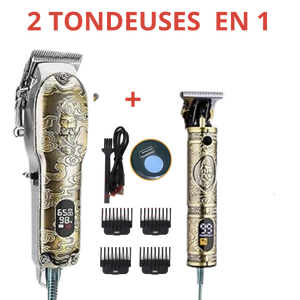 Tondeuse Professionnelle puissante 2 en 1 acier